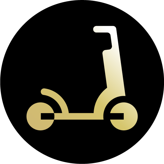 Sustainable Mobility